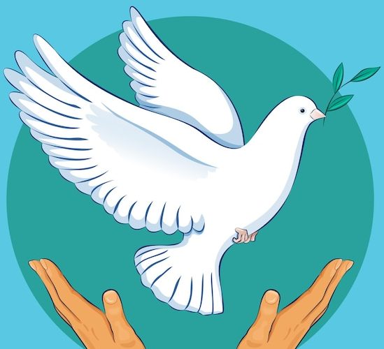 colombe paix carré