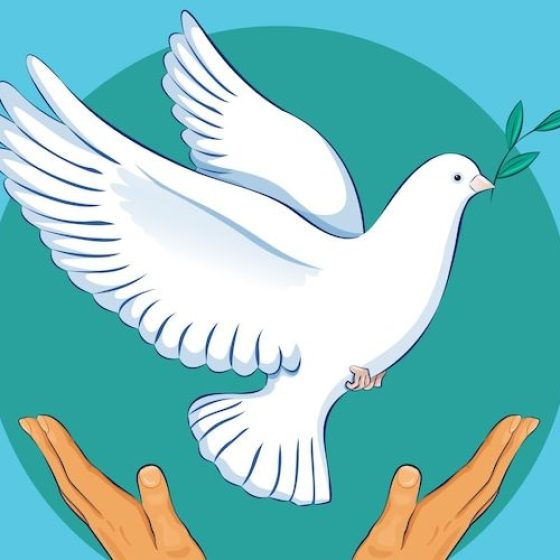 colombe paix carré