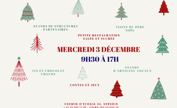 visuel marché de noël site