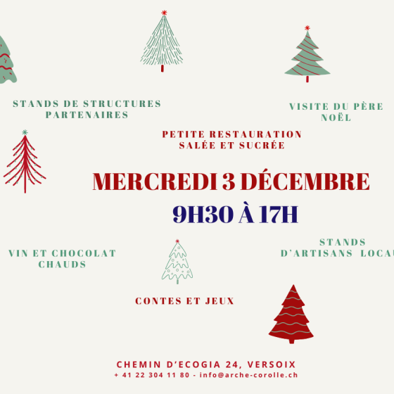visuel marché de noël site